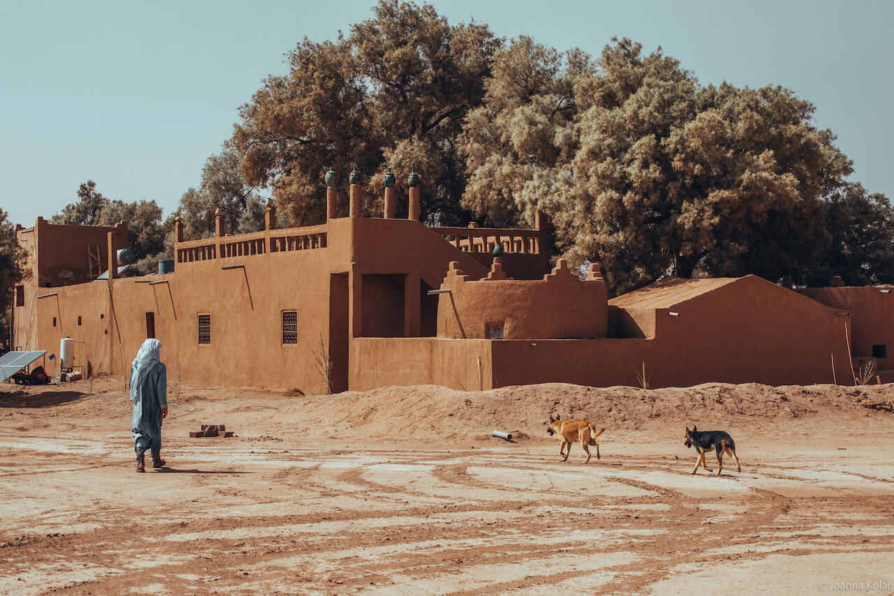 Oasis in the Sahara Desert, Morocco