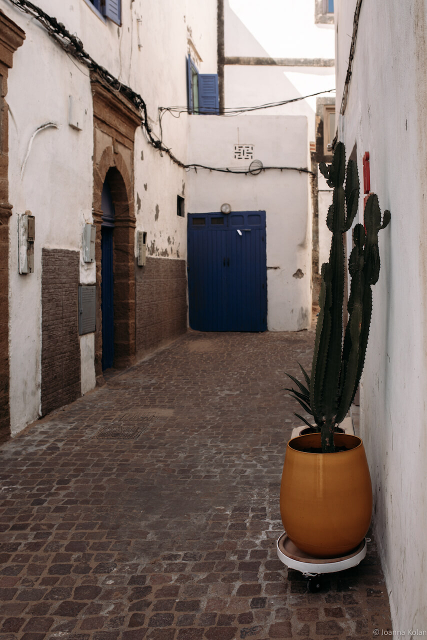 Things To Do in Essaouira